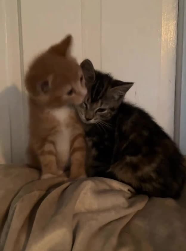 Подпишись 👉 https://vk.com/ykrasheniy_iz_kamny