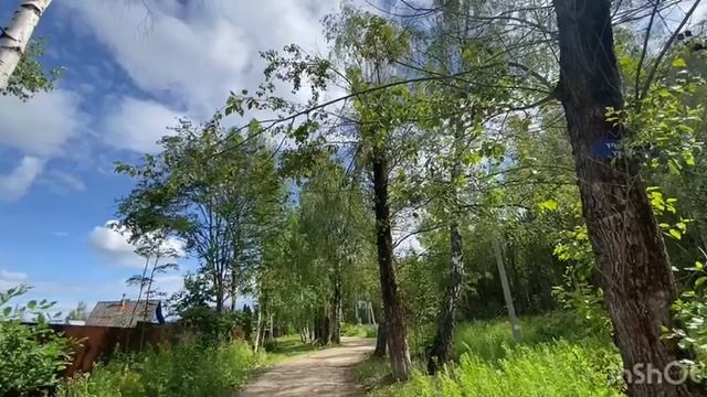 Дом в д. Никитское