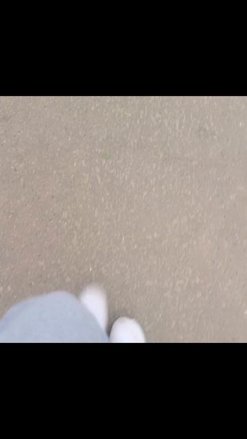 ну в общем вот