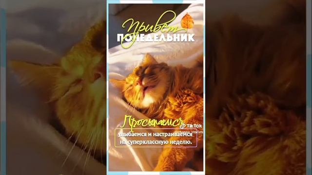 просыпаемся