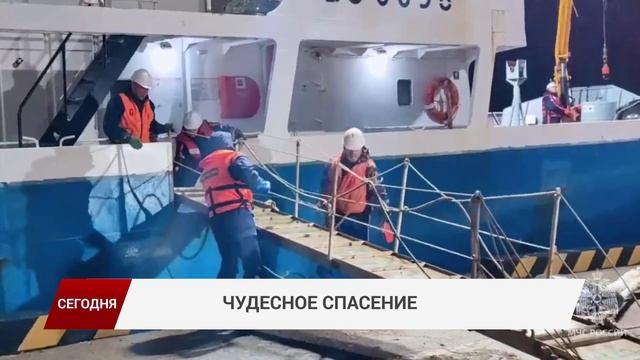 "Новости дня"/Промо