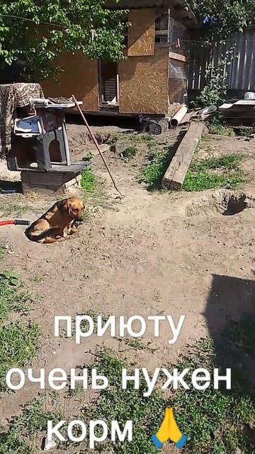 +7985 193 0027