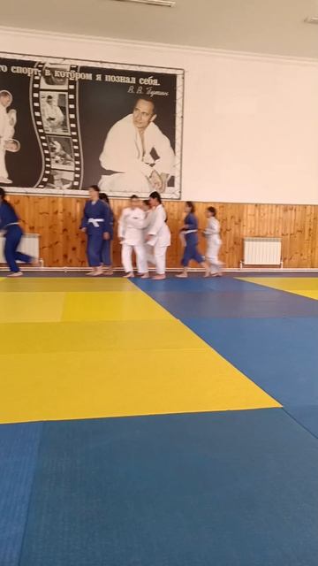 judo