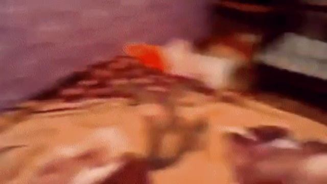 Шпионские игры.mp4