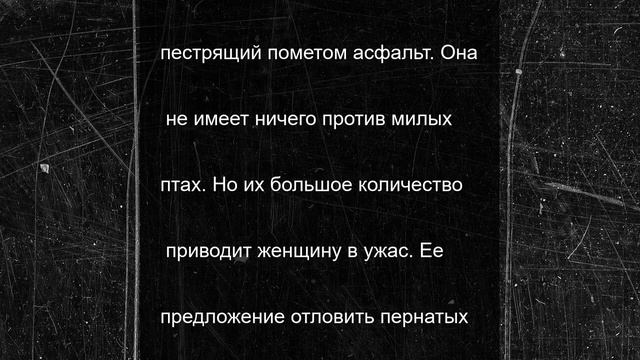Жители Балашихи пожаловались на колонии галок в городе