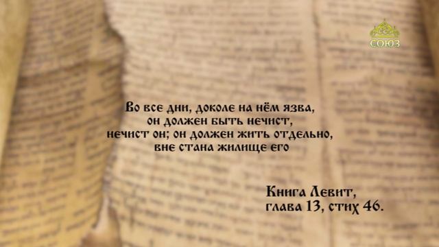 Евангелие 28 июня. Он учил их, как власть имеющий, а не как книжники и фарисеи