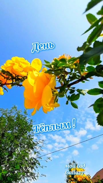 Доброе Утро! Хорошего Дня!