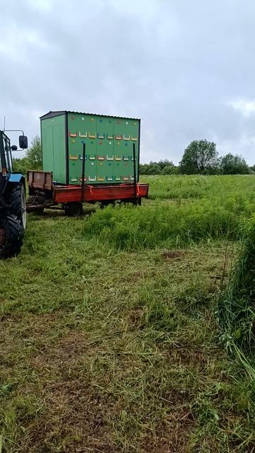 Постановка павильонов для сбора лугового разнотравия.