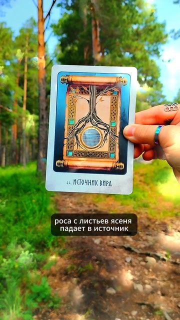 💧🌳💧#гадание #таро #таропрогноз #расклад #эзотерика #aexplorer