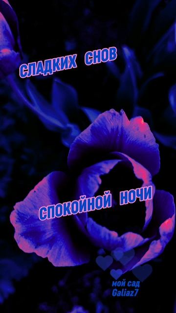 Доброй Ночи..........