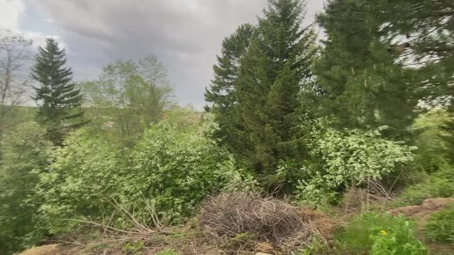 Красота природы