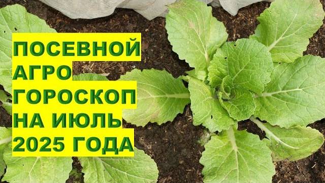 Агрогороскоп на июль 2025 что посадить первым