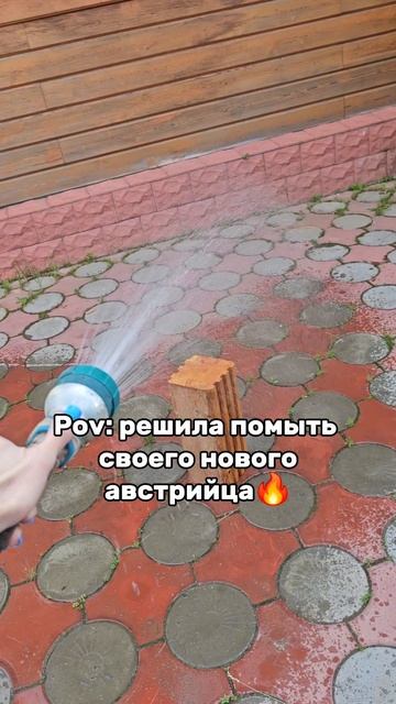 Решила помыть свой новый мотоцикл 🏍  как он вам?