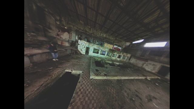 freestyle screen