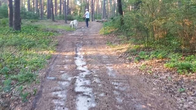 Растим лапы до года