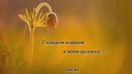 "С каждым вздохом в моем дыханье.." Песня, исп.Шинкарева Светлана