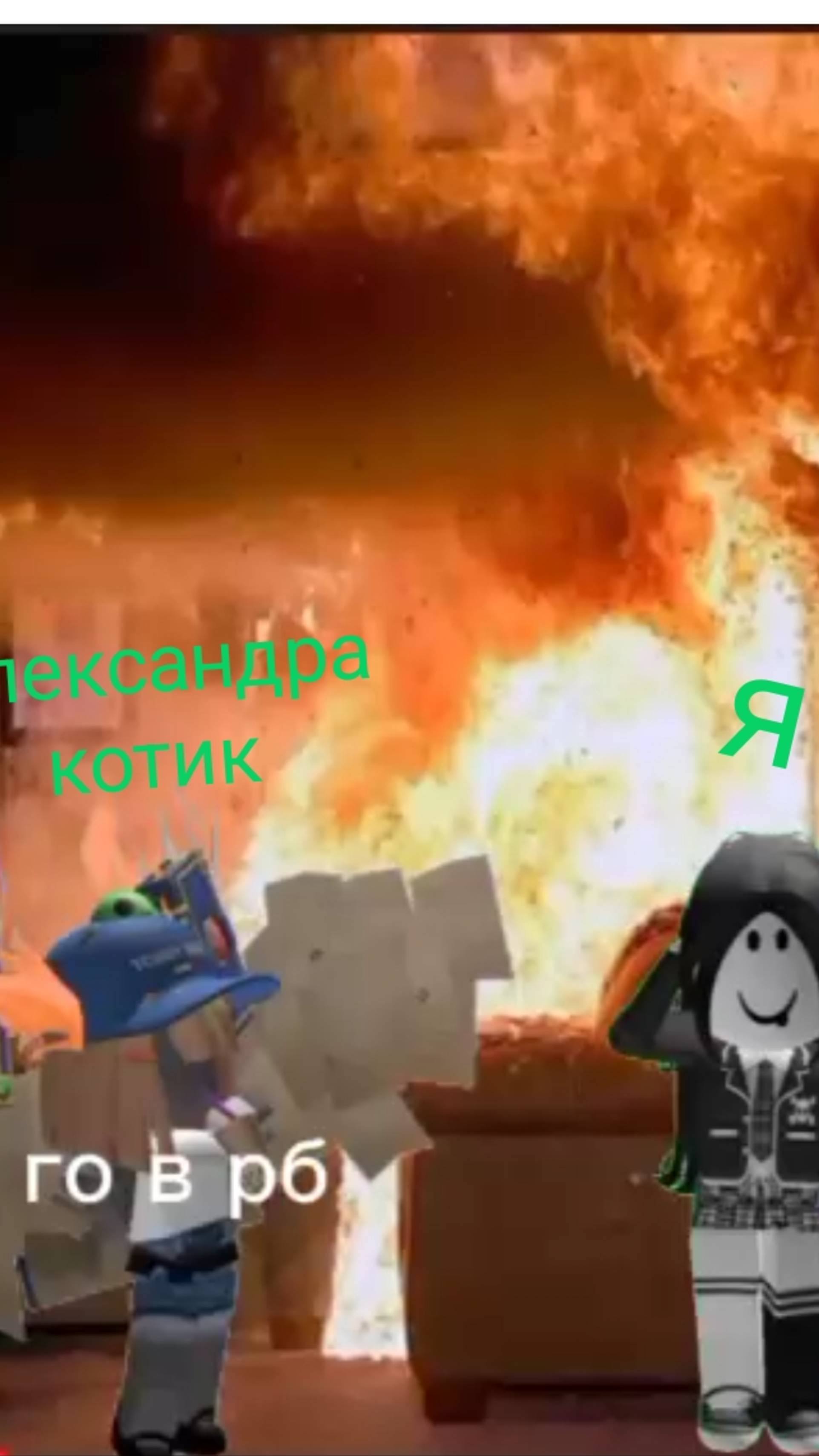 Идея Александры котик 🐱🐱🐱