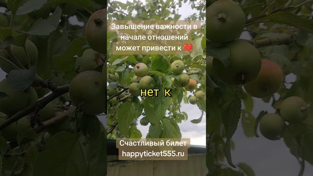 Завышение значимости может привести к любовной зависимости!