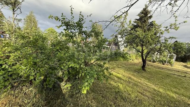 Тюльпан-2, 5-я улица