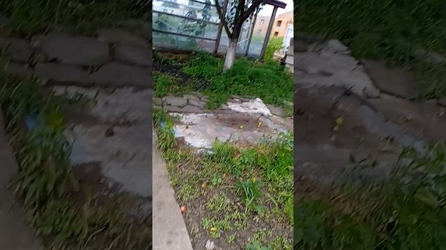 Влог.