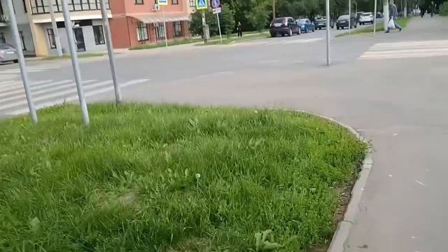 Солнечный день ч. 1 с WalkingWithEase