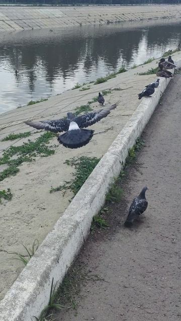 ИИ, политика, Слово Божие