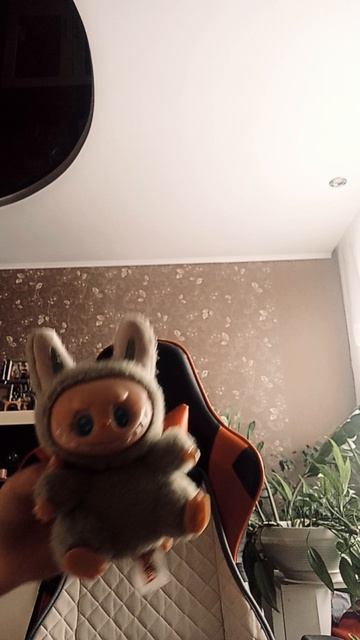 VID_20250627_112235.mp4