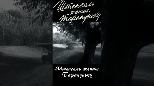 Штепсель женит Тарапуньку 1957   Фрагмент 3 #shortsvideo #shorts  #фильм #кино #кинопоиск #топ