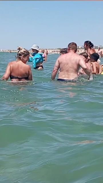 #ДЕЛЬФИНЫ#АНАПА 27-06-2025