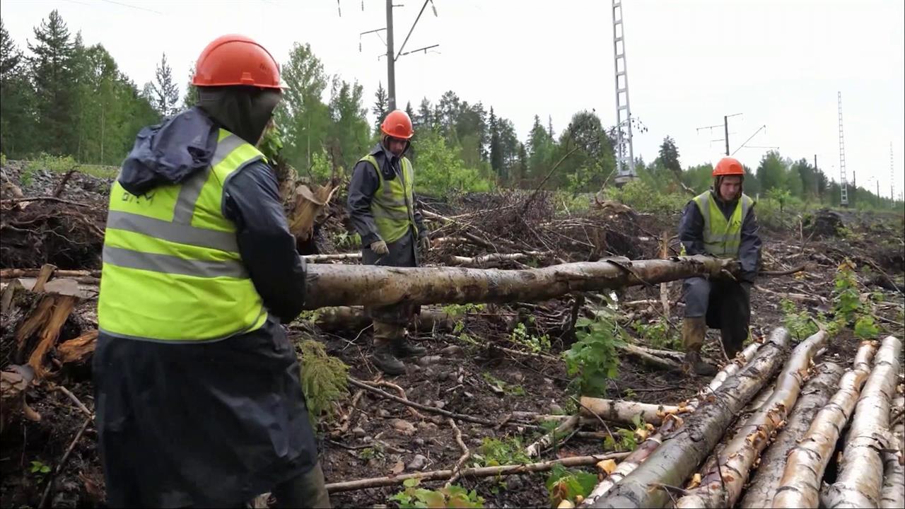 У студенческих отрядов в России начался летний трудовой сезон