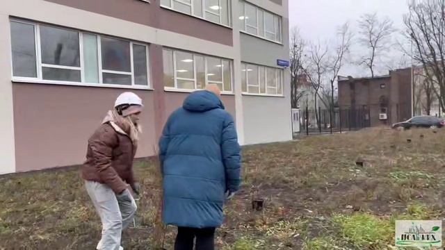 Высадка деревьев происходит руками студентов Института строительства, архитектуры и ЖКХ.