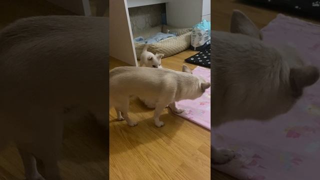 И так каждый день..