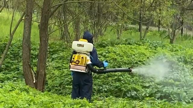 VID-20250305-WA0004