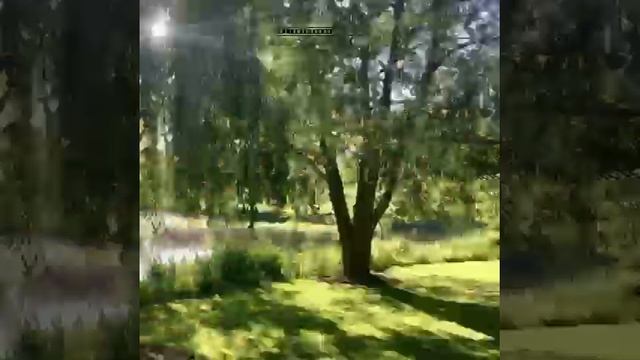 Загрузи себе природу