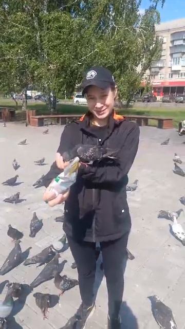 Пернатые товарищи