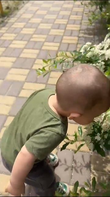 VID-20250514-WA0002