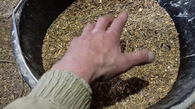 Нужна ли ракушка курам летом
