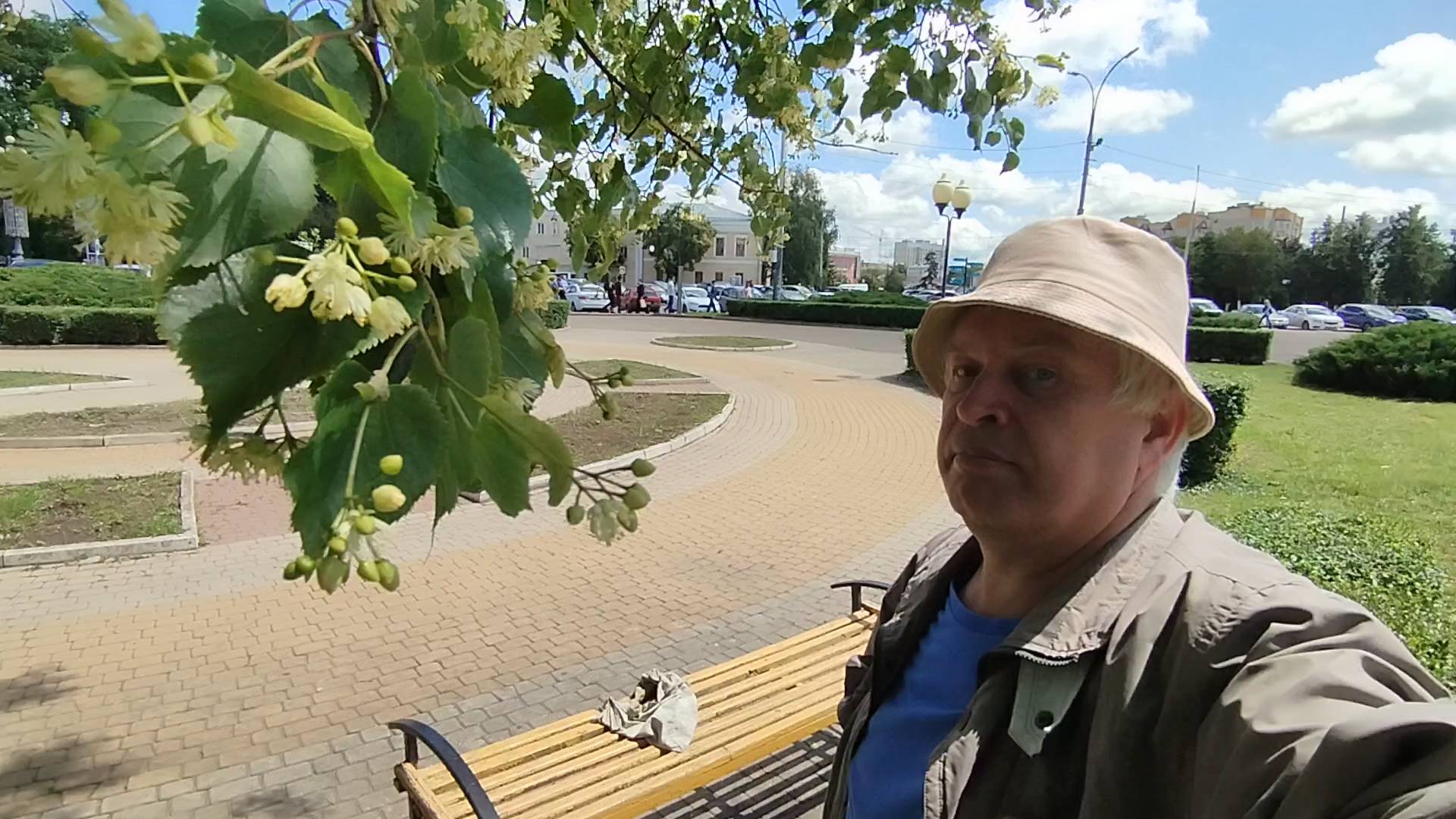 Жёлтая лавка в сквере, дерево липа цветёт. Геннадий Горин