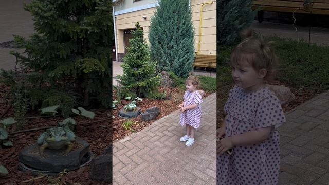 🐸 🐸 Лягушки едет Комаров 🦟 🦟 Лето 2024