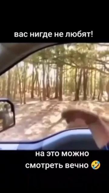1000146222.mp4