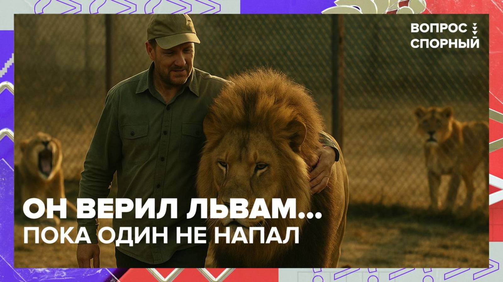 Почему дикие животные нападают на людей?|Вопрос спорный — Москва 24|Контент