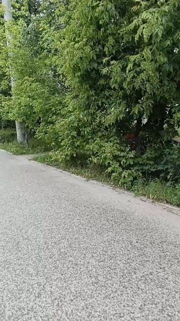 погода не очень