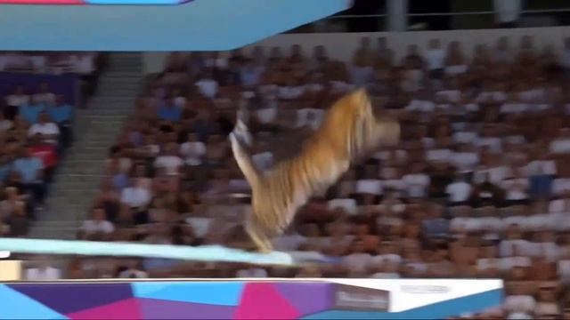 Рысь на олимпийских играх делает прыжок в воду | Создано с помощью редактора ИИ | Нейросети