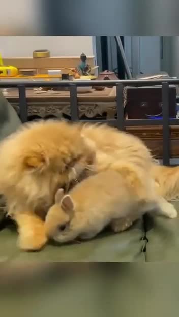 Подпишись 👉 https://vk.com/ykrasheniy_iz_kamny