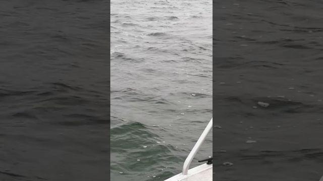 Лодка русбот 45