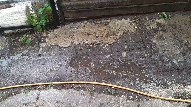 ДОЖДЬ,КАК ИЗ ВЕДРА!!