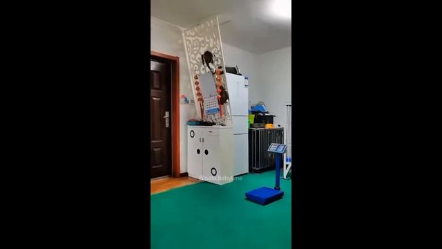 Подборка интересных видео
