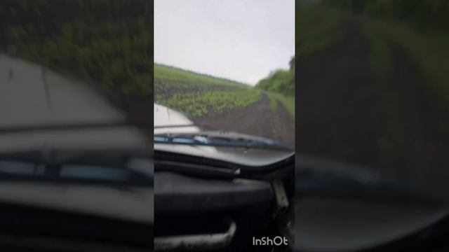 Едем как можем