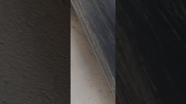 1000018565.mp4