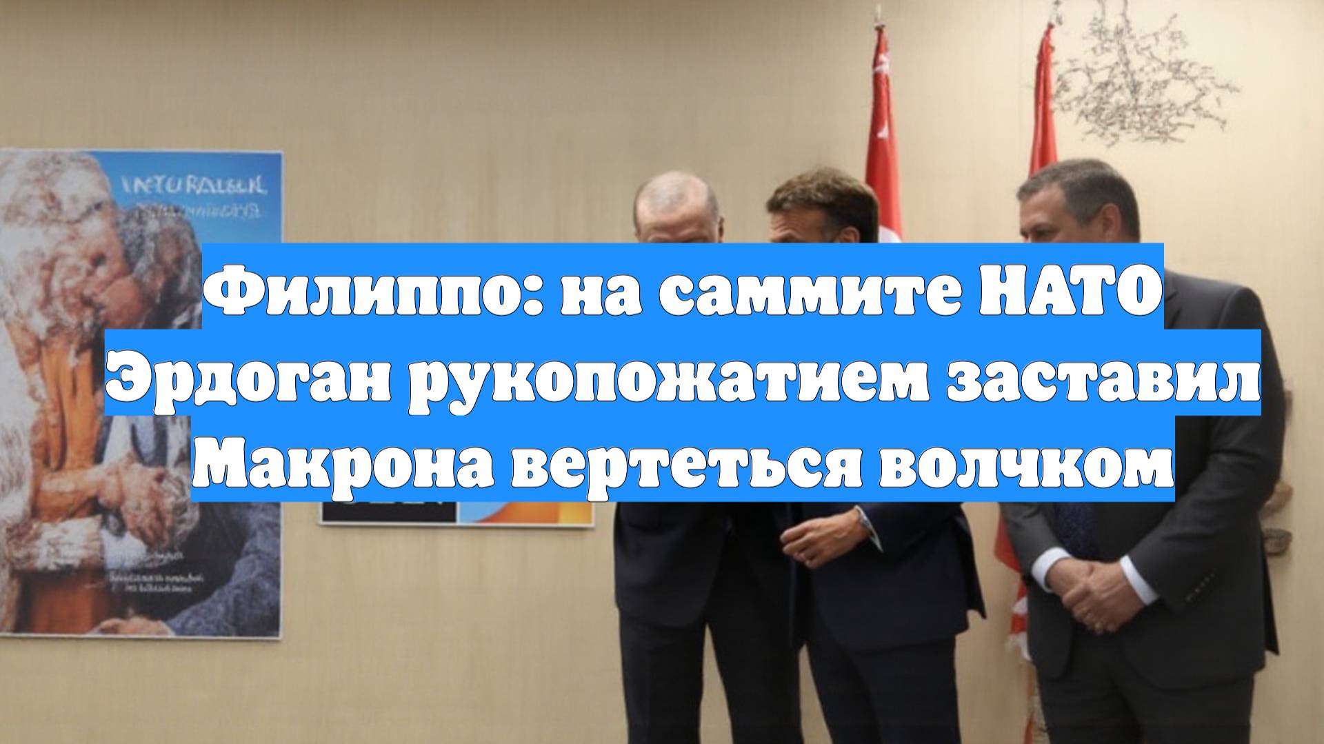 Филиппо: на саммите НАТО Эрдоган рукопожатием заставил Макрона вертеться волчком